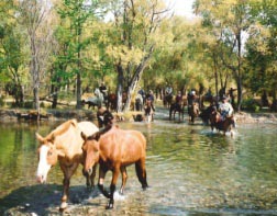 雑木林を抜け、小川などを渡ることもあります。