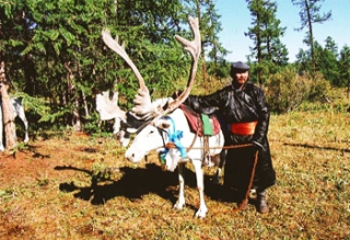 SA-808 蒼い真珠 フブスグル湖＆乗馬ライディング体験 少数民族トナカイ遊牧民ツァータンとナーダム祭