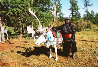 SA-808 蒼い真珠 フブスグル湖＆乗馬ライディング体験 少数民族トナカイ遊牧民ツァータンとナーダム祭