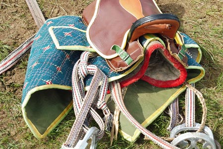 特別なモンゴル馬用の鞍をご用意！チャップス（すね当て）・ヘルメットも無料貸し出し中。