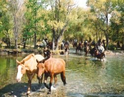 雑木林を抜け、小川などを渡ることもあります。