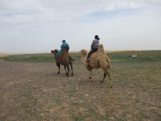 SA-765 陸路をすすむ 地球規模のゴビ三昧とわくわく乗馬ライディング 8日間